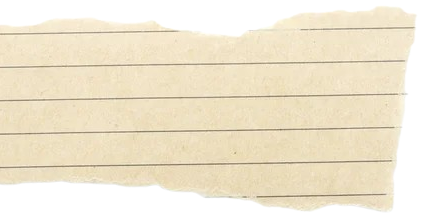 Undertale / Deltarune﹒Roblox﹒SCP﹒Backrooms﹒Red Dead Redemption 2﹒Animal Crossing﹒Left 4 Dead 2﹒FNAF﹒Madness Combat﹒Mouthwashing﹒Analog Horror ( The Mandela Catalogue, Vita Carnis, ects )﹒Any games made by Racheldrawsthis